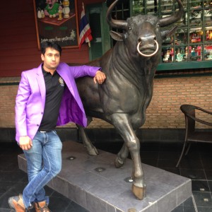 Stock Market Bull